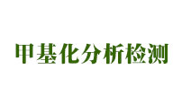 甲基化分析檢測