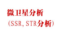微衛星分析